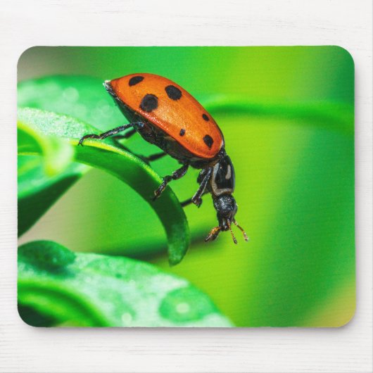 Ladybug on Leaf – Macro Nature Photo Art Print マウスパッド (正面)