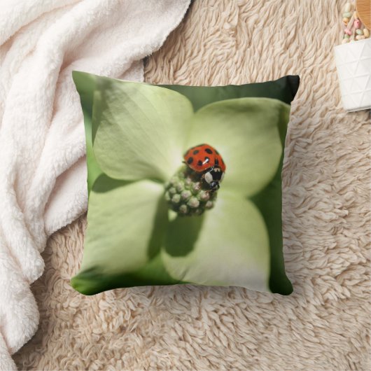Ladybug On White Dogwood Flower  クッション (ブランケット)