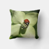 Ladybug On White Dogwood Flower  クッション (裏面)