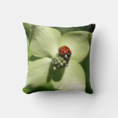Ladybug On White Dogwood Flower  クッション (正面)
