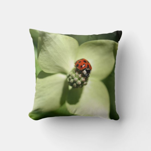 Ladybug On White Dogwood Flower  クッション (正面)