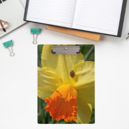 Ladybug on Yellow Daffodilフローラ クリップボード