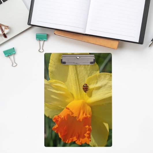 Ladybug on Yellow Daffodilフローラ クリップボード