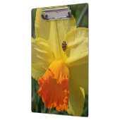 Ladybug on Yellow Daffodilフローラ クリップボード (左)