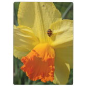 Ladybug on Yellow Daffodilフローラ クリップボード (裏面)