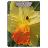 Ladybug on Yellow Daffodilフローラ クリップボード (正面)