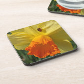 Ladybug on Yellow Daffodilフローラ コースター (左側)