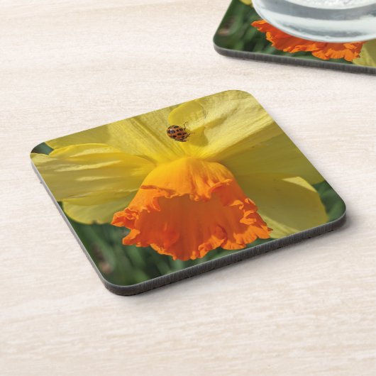 Ladybug on Yellow Daffodilフローラ コースター (左側)