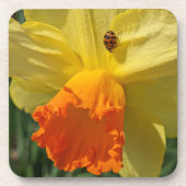 Ladybug on Yellow Daffodilフローラ コースター (正面)