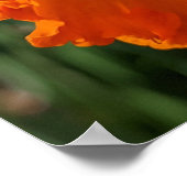 Ladybug on Yellow Daffodilフローラ ポスター (角)