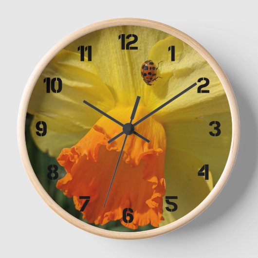 Ladybug on Yellow Daffodilフローラ 壁時計 (正面)