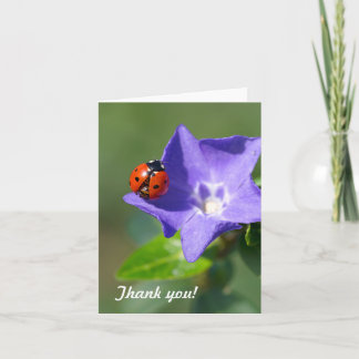 Ladybug Thank you Note Card サンキューカード