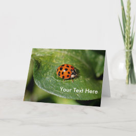 Ladybug Up閉じる自然フォトカード カード