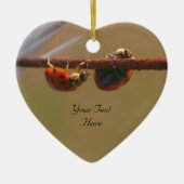 Ladybugsのかわいい自然オーナメント セラミックオーナメント (正面)