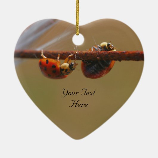 Ladybugsのかわいい自然オーナメント セラミックオーナメント (裏面)