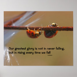 Ladybugs態度感動的孔子引用文 ポスター