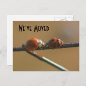 Ladybugs新キスをするしいアドレス自然 案内ポストカード (正面/裏面)