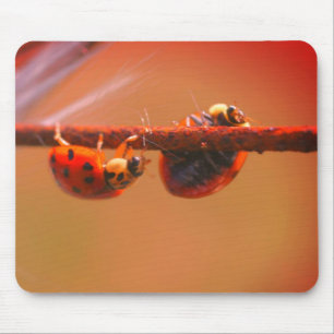 Ladybugs自然のバランス マウスパッド