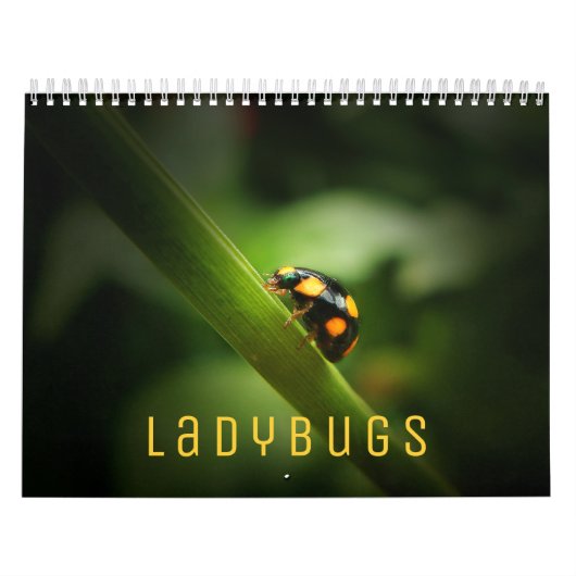 Ladybugs [2]ウォールカレンダー カレンダー (カバー)