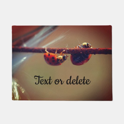 Ladybugs Balancingクローズアップパーソナライズされた ドアマット (正面)