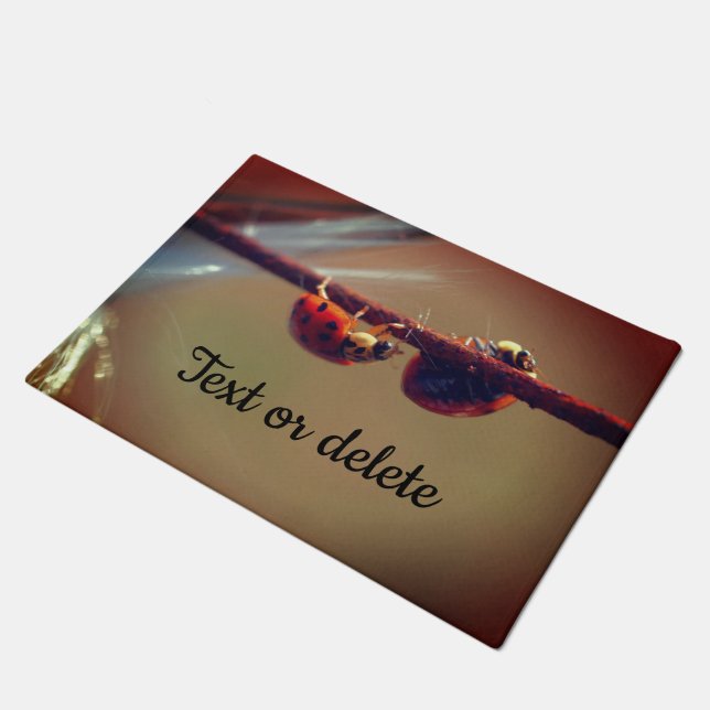 Ladybugs Balancingクローズアップパーソナライズされた ドアマット (アングル)