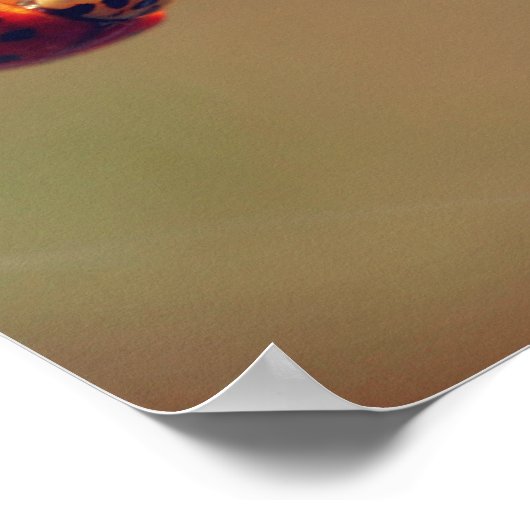 Ladybugs Balancingクローズアップ ポスター (角)