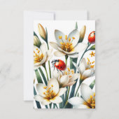 Ladybug's Lily Haven (裏面)