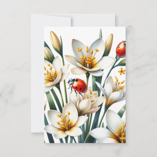 Ladybug's Lily Haven (裏面)