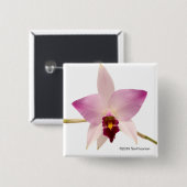 Laelia Ancep 缶バッジ (正面&裏面)