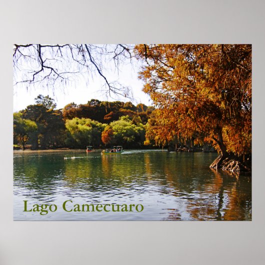 Lago Camecuaroポスター ポスター (正面)