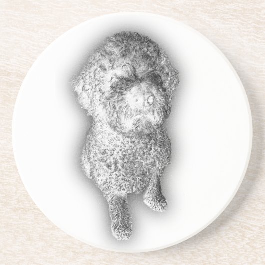 Lagotto Lines – Artisan Coaster for the Curly-Coat コースター (正面)