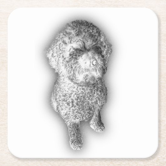 Lagotto Lines – Artisan Coaster for the Curly-Coat スクエアペーパーコースター (正面)