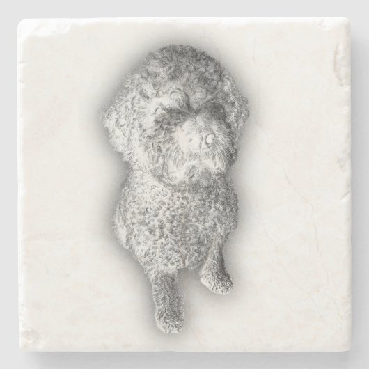Lagotto Lines – Artisan Coaster for the Curly-Coat ストーンコースター (正面)