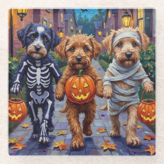 Lagotto Romagnolo Trick-or-Treating Halloween  ガラスコースター (正面)