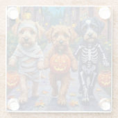 Lagotto Romagnolo Trick-or-Treating Halloween  ガラスコースター (裏面)