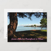 Lahainaマウイの景色の郵便はがき ポストカード (正面/裏面)
