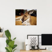 Laizing Kangaroo Close Up, Poster ポスター (ホームオフィス)