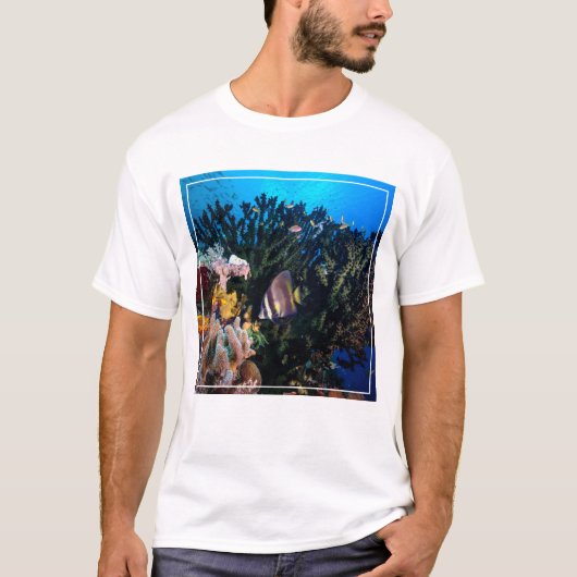 Laja Ampat水中4 Tシャツ (正面)