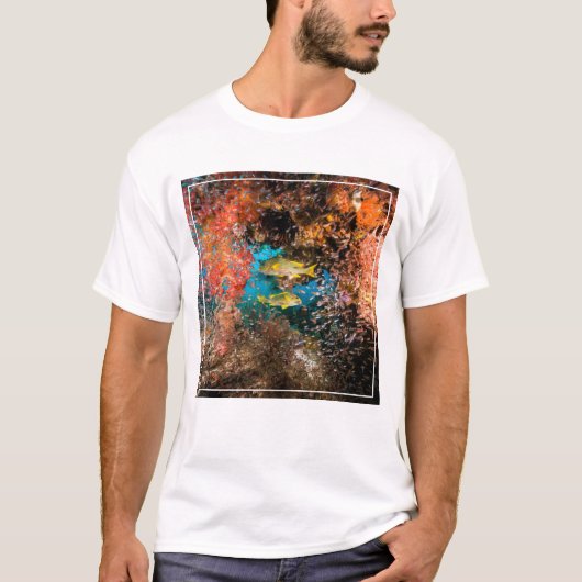 Laja Ampat水中6 Tシャツ (正面)