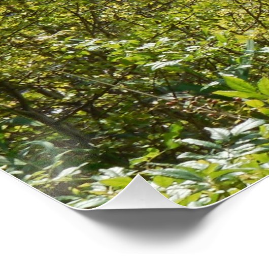 Lake ポスター (コーナー)