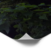 Lake Atitlan Volcanoes ポスター (角)