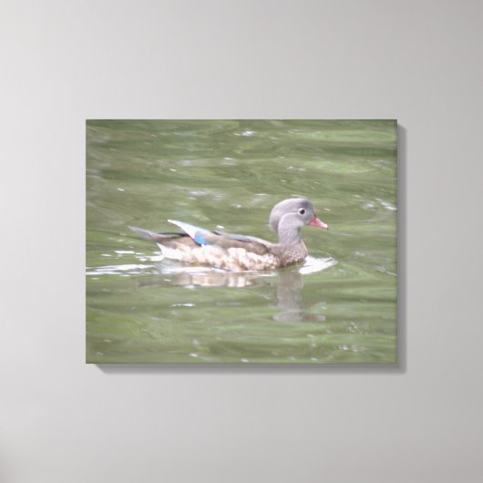 Lake Canvas Printのアヒル キャンバスプリント (正面)