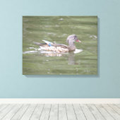 Lake Canvas Printのアヒル キャンバスプリント (インサイチュ (ウッドフロア))