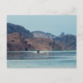 Lake Havasu ポストカード (正面)