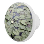 Lake Lily Pad Explosion セラミックノブ (右)