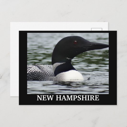 Lake Loonのクローズアップ写真 ポストカード (正面/裏面)