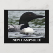 Lake Loonのクローズアップ写真 ポストカード (正面)