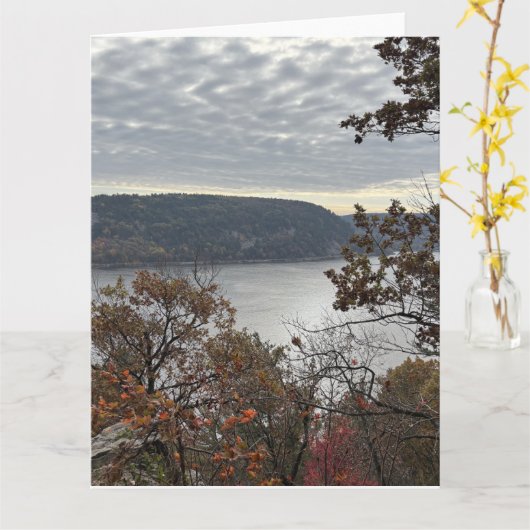 Lake Nature カード (黄色い花)