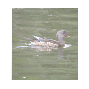 Lake Notepadでアヒル ノートパッド