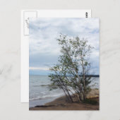 Lake Superiorはがき ポストカード (正面/裏面)